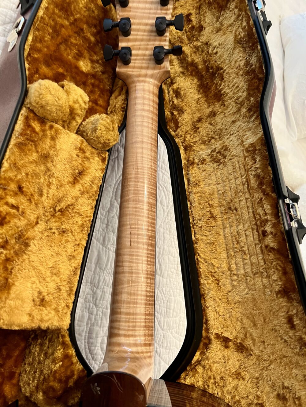 SonoTone | Marchione OMC